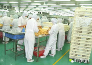 食品凈化車(chē)間日常監(jiān)控和管理要求