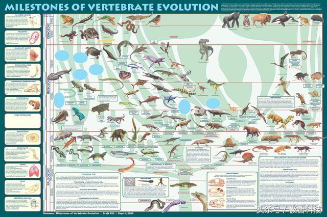 生物進化理論為何可以用在飛行器的優化設計中?讀完就懂