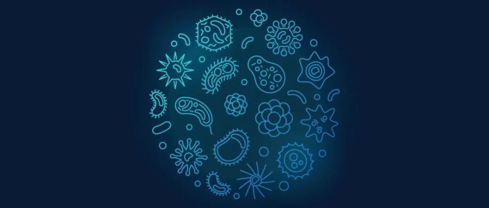 【Nature子刊】通過微生物組組成更準(zhǔn)確地識(shí)別結(jié)直腸癌