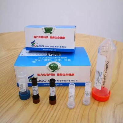 給力!抗擊新冠肺炎,長三角G60科創(chuàng)走廊松江企業(yè)貢獻(xiàn)核心技術(shù)產(chǎn)品