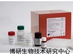 人白細胞共同抗原ELISA試劑盒_供應產品_博研生物技術研究中心