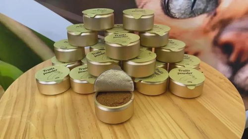 8個創意滿滿的貓咪用品 貓研所帶你逛亞寵展