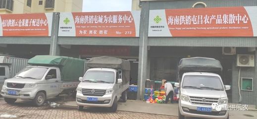 保供穩(wěn)價勇?lián)?dāng)——海南屯昌縣供銷合作社全力筑牢疫情防線物質(zhì)保障